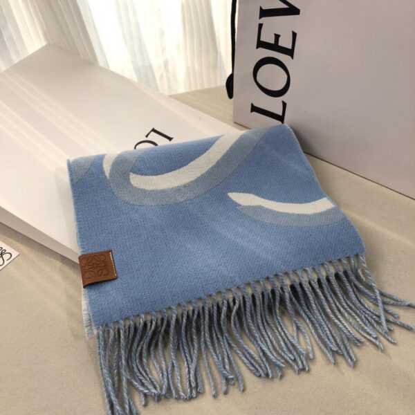 Sciarpa LOEWE in misto lana e cashmere di peso medio con stampa di grandi dimensioni