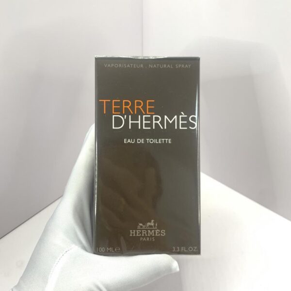 repliche,replica,perfette,siti di,affidabili,migliori siti,dove comprare,1:1,scarpe da ginnastica Hermes Earth Perfume 100ml (EDT) Eau de Toilette (2B3A)