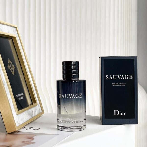 repliche,replica,perfette,siti di,affidabili,migliori siti,dove comprare,1:1,scarpe da ginnastica Profumo Dior Men Sauvage Wilderness (150F)
