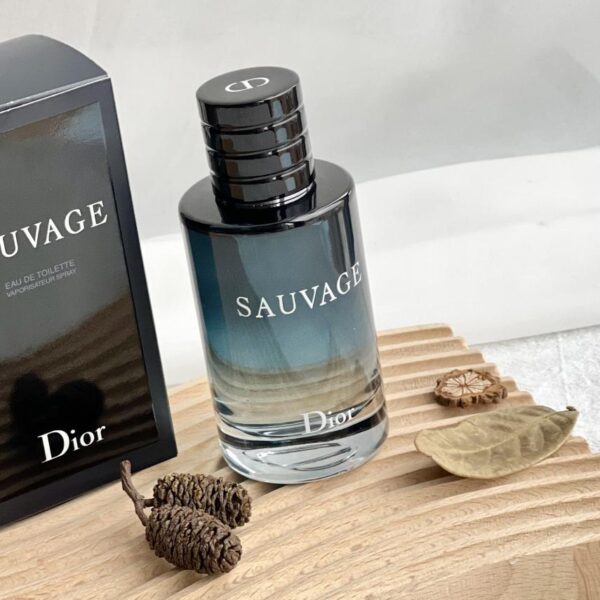 repliche,replica,perfette,siti di,affidabili,migliori siti,dove comprare,1:1,scarpe da ginnastica Fragranza leggera Dior Wilderness 100ml(2754)
