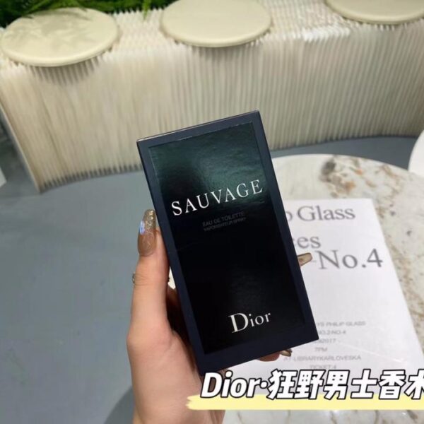 Dior Wilderness Uomo 100 ml (4BB2)