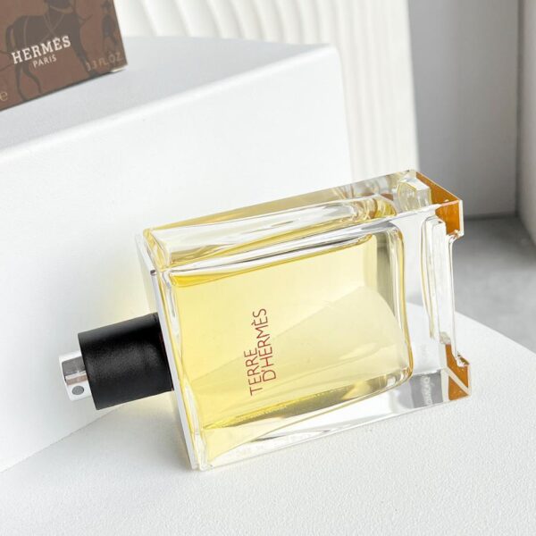 Hermes TERRE terra (4E6A)