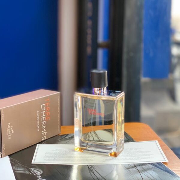 Hermes Earth Eau de Toilette da uomo unisex 100 ml.(0CDB)