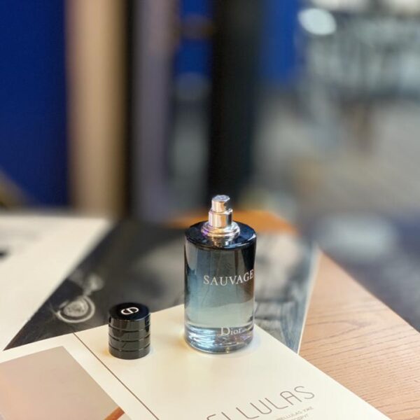 repliche,replica,perfette,siti di,affidabili,migliori siti,dove comprare,1:1,scarpe da ginnastica Dior Wilderness Eau de Toilette da uomo Acqua fresca a lunga durata 100 ml (0DC7)