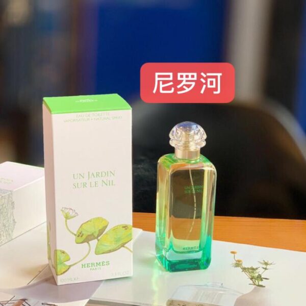 repliche,replica,perfette,siti di,affidabili,migliori siti,dove comprare,1:1,scarpe da ginnastica Hermes Nile Garden eau de toilette da donna unisex 100ML (D573)