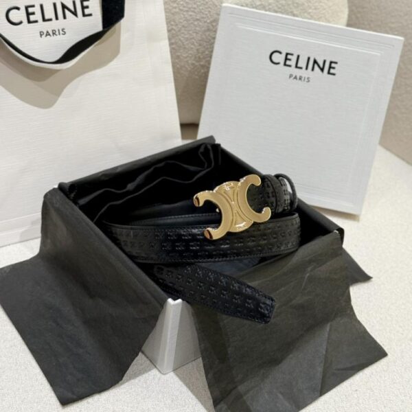 repliche,replica,perfette,siti di,affidabili,migliori siti,dove comprare,1:1,scarpe da ginnastica Cintura da donna Celine (2,5 cm, D2455)