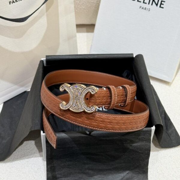 repliche,replica,perfette,siti di,affidabili,migliori siti,dove comprare,1:1,scarpe da ginnastica Cintura da donna Celine (2,5 cm, 650SZ)