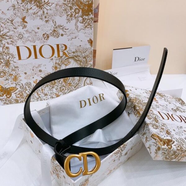 Cintura Dior Saddle 2,0 cm (86THD)
