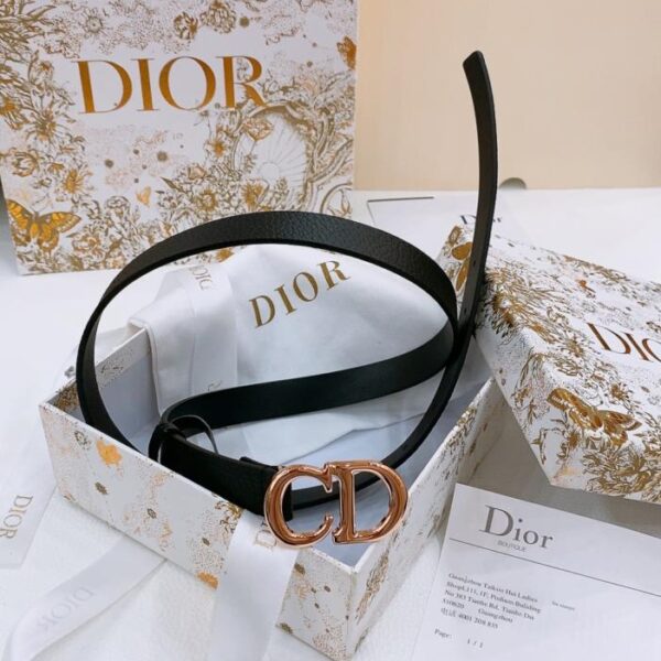 Cintura Dior Saddle 2,0 cm (JQ2ET)