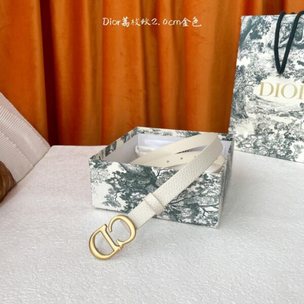 Cintura Dior Saddle 2,0 cm (E3EPU)