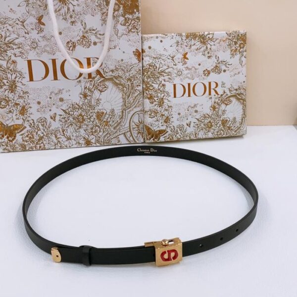 Cintura Dior in politecnica con fibbia placcata oro (YXG3E)