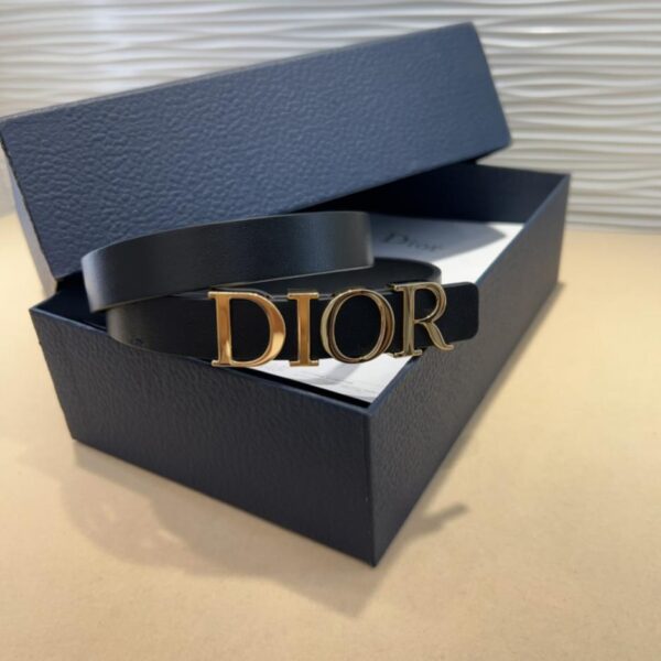 Nuova cintura Dior (OCQ6Q)