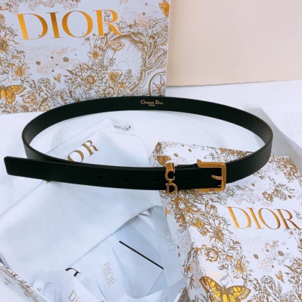 Cintura Dior Saddle Loop (KJ52W)