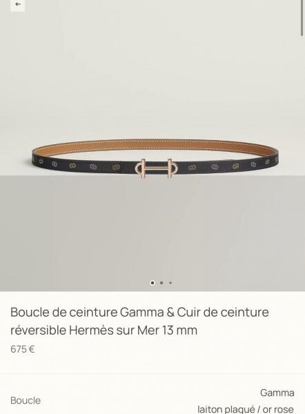 repliche,replica,perfette,siti di,affidabili,migliori siti,dove comprare,1:1,scarpe da ginnastica Cintura da donna Hermes, nuova GAMMA Hardware, in pelle Epsom importata, larghezza 13 mm (4DP9X)