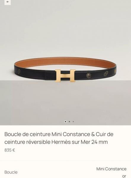 repliche,replica,perfette,siti di,affidabili,migliori siti,dove comprare,1:1,scarpe da ginnastica Cintura da donna Hermes, nuova MINI CONSTANCE, finiture di alta qualità con pelle Epsom importata, larghezza 24 mm (FJ665)