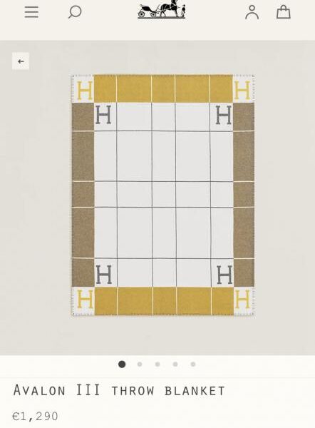 repliche,replica,perfette,siti di,affidabili,migliori siti,dove comprare,1:1,scarpe da ginnastica Coperta in cashmere premium HERMES (872W8)