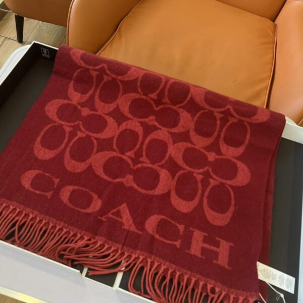 repliche,replica,perfette,siti di,affidabili,migliori siti,dove comprare,1:1,scarpe da ginnastica Sciarpa classica Coach (494N2)