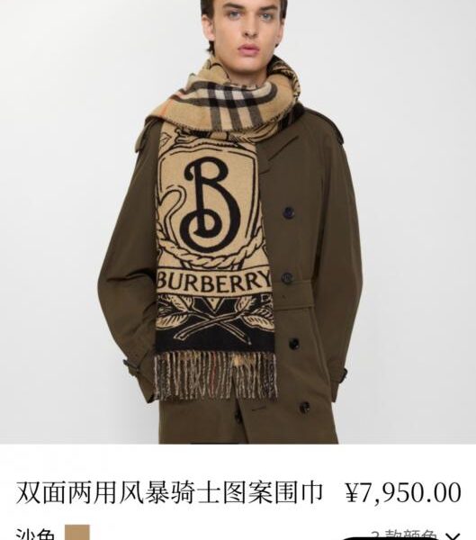 repliche,replica,perfette,siti di,affidabili,migliori siti,dove comprare,1:1,scarpe da ginnastica Scialle bifacciale Burberry Horse Knight (HNYBH)