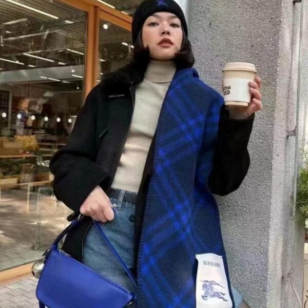 Sciarpa Burberry (HOUIB)
