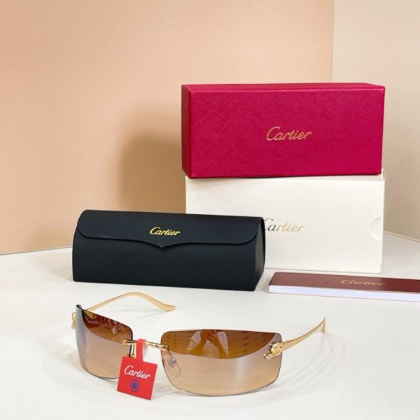 repliche,replica,perfette,siti di,affidabili,migliori siti,dove comprare,1:1,scarpe da ginnastica Occhiali da sole Cartier, modello CT0503S (JHI0KS)