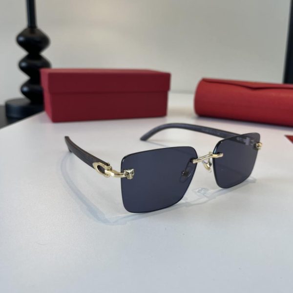 Occhiali da sole premium CARTIER, realizzati con aste in policarbonato metallico e processo di galvanizzazione ultraleggera senza montatura (MN0QDF).